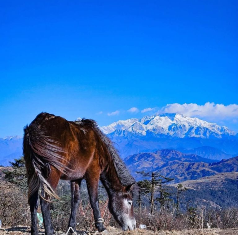 Budget Sandakphu Trek from Kolkata