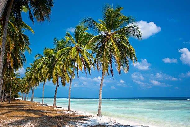 lakshadweep cruise package kolkata
